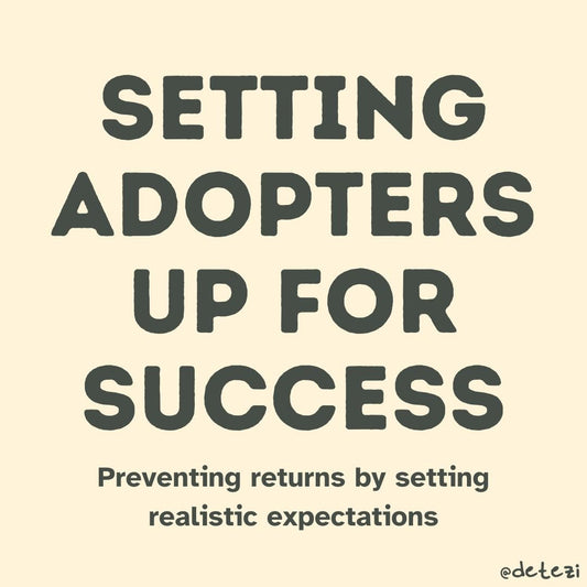 Setting adopters up for success: resources that we love - Detezi Designs