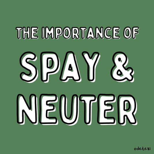 The Importance of Spay and Neuter on Shelter Populations - Detezi Designs