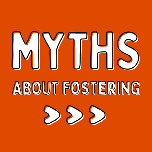 The three BIGGEST myths about fostering shelter pets - Detezi Designs