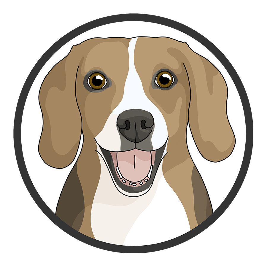 Beagles Detezi Designs