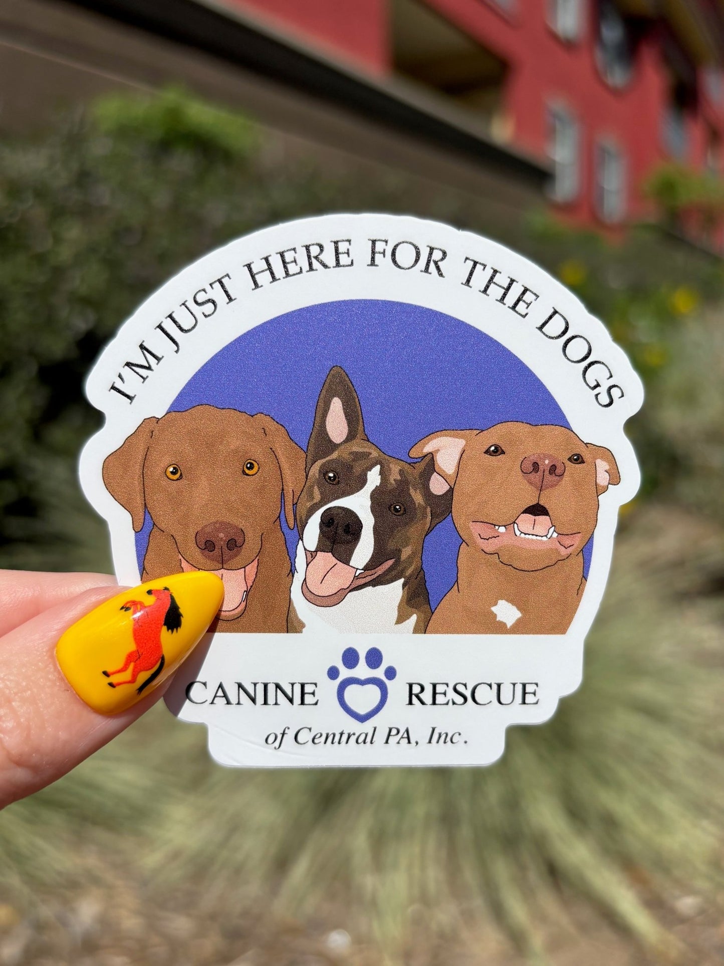 3" Sticker | FUNDRAISER | Canine Rescue of Central PA - Detezi Designs -