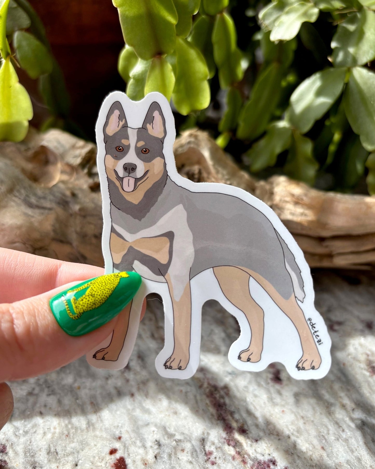 Australian Cattle Dog | Full Body Illustration | 3" Vinyl Sticker - Detezi Designs -