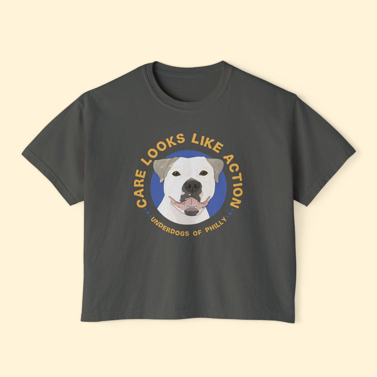Comfort Colors Boxy Tee | FUNDRAISER | Underdogs of Philly - Detezi Designs-14157792093286847794