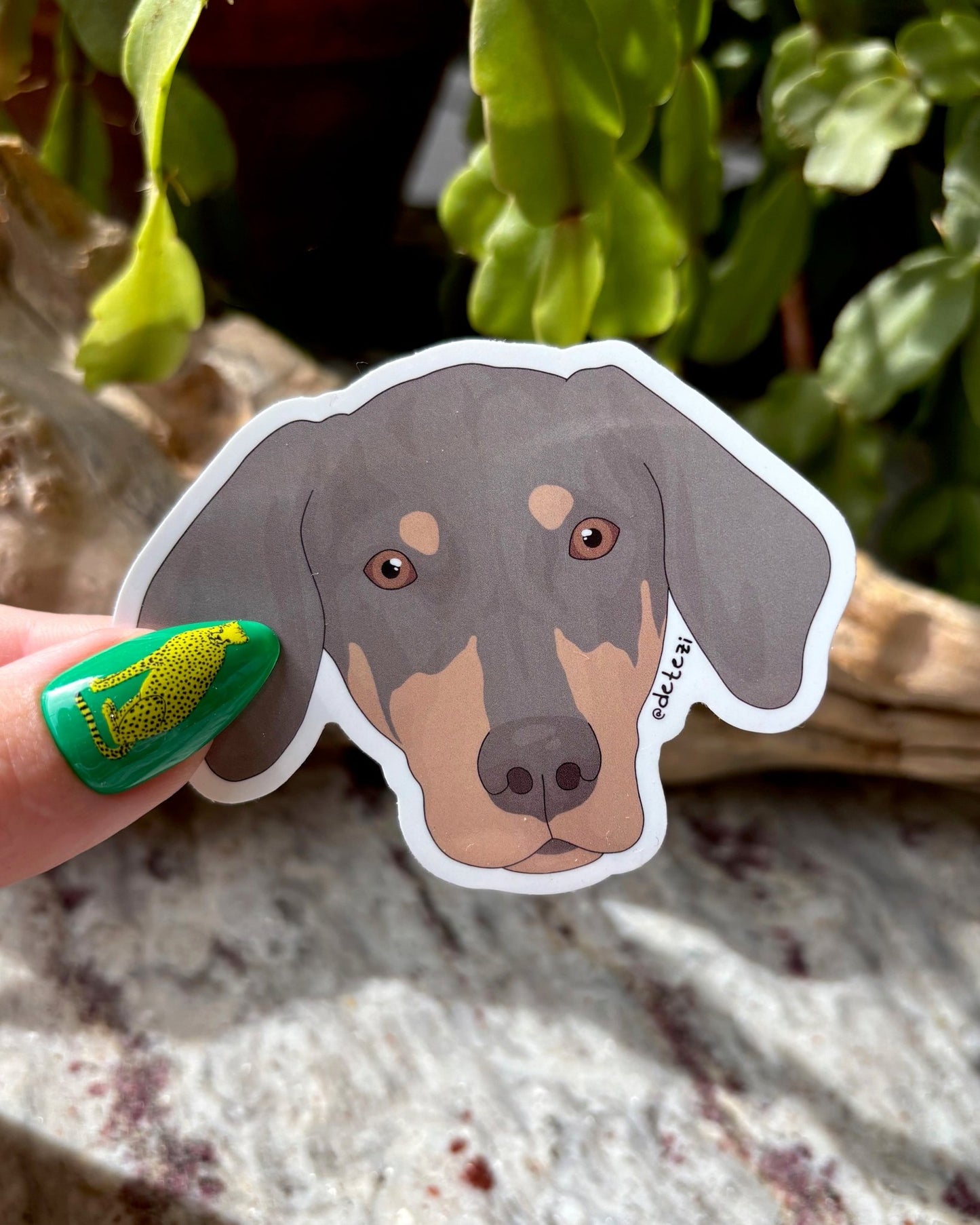 Doberman | 3" Vinyl Sticker - Detezi Designs -