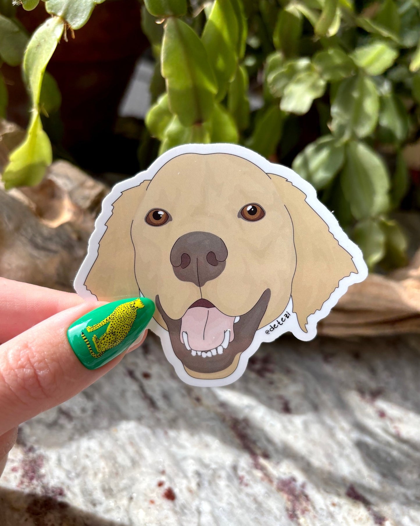 Golden Retriever | Face | 3" Vinyl Sticker - Detezi Designs -