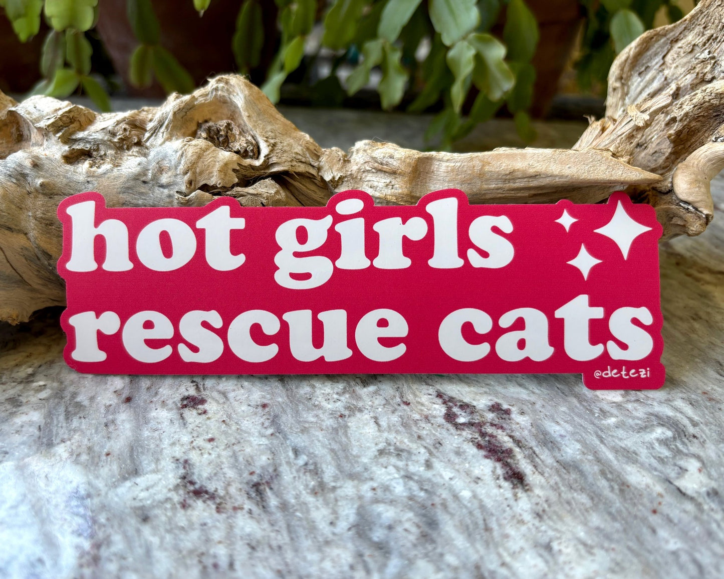 Hot Girls Rescue Cats | 6" Vinyl Bumper Sticker - Detezi Designs -