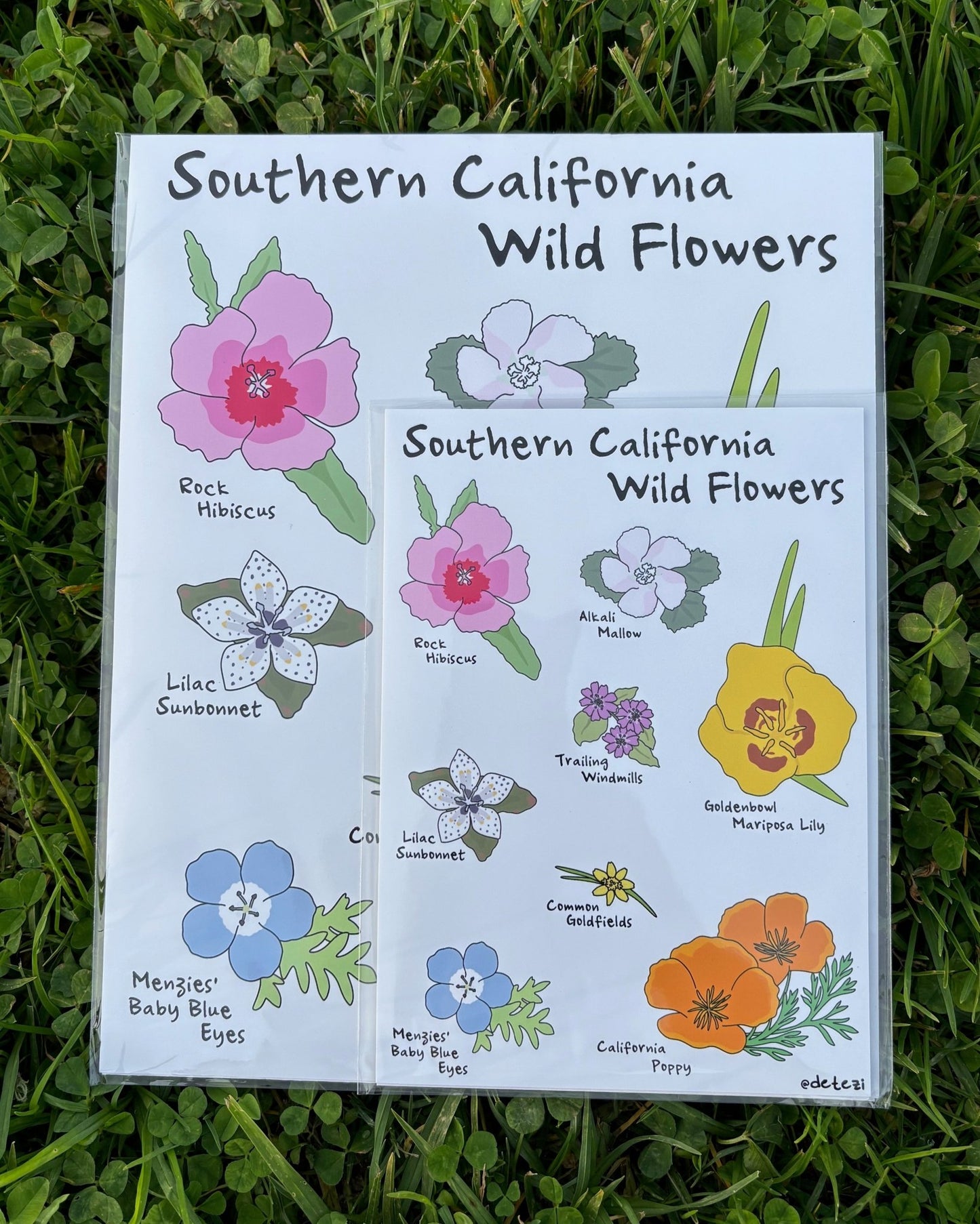 Southern California Wildflowers | Giclee Fine Art Print - Detezi Designs -