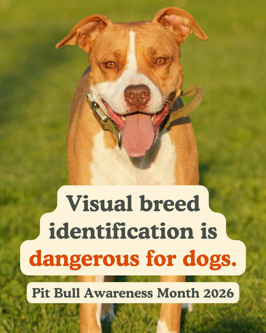 The Fallout of Visual Breed Identification