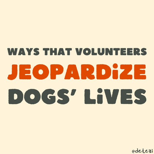 5 Ways that shelter volunteers jeopardize dogs' lives - Detezi Designs