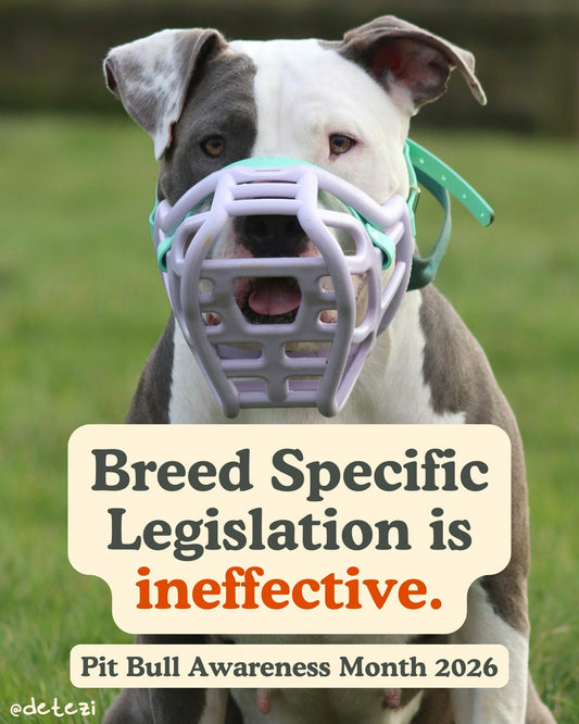 Breed Specific Legislation is Ineffective - Detezi Designs
