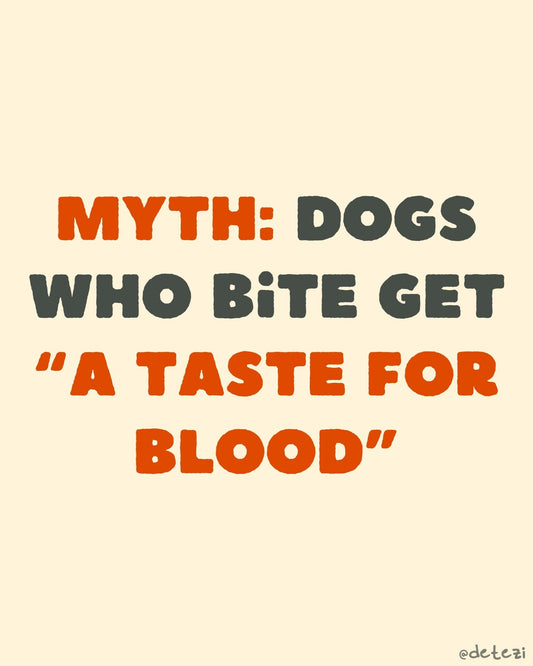 Myth: dogs who bite get “a taste for blood” - Detezi Designs