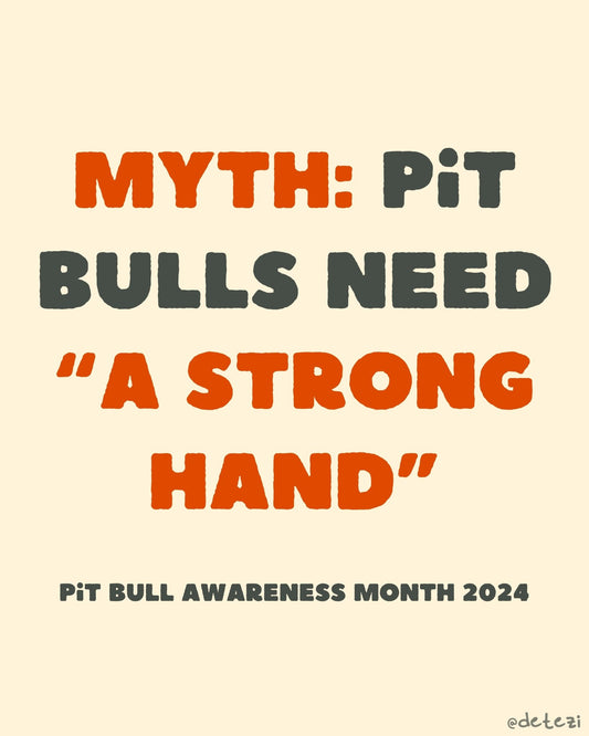 Myth: Pit bulls need a "strong hand" - Detezi Designs