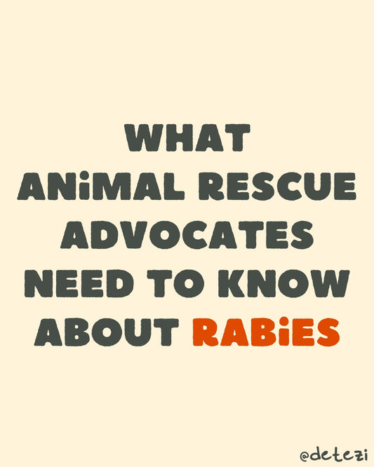 What Animal Rescue Advocates Need to Know About Rabies - Detezi Designs