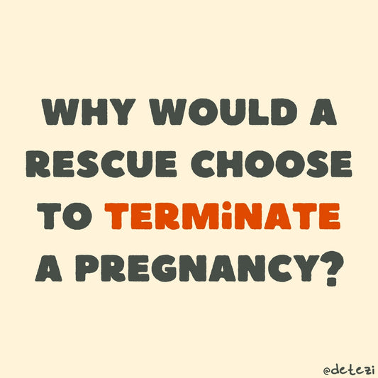 Why would a rescue choose to terminate a pet pregnancy? - Detezi Designs