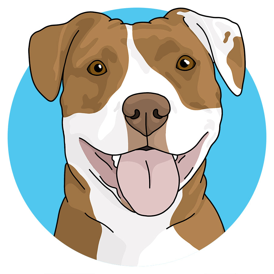 American Staffordshire Terrier - Detezi Designs
