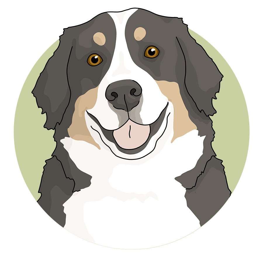 Bernese Mountain Dog - Detezi Designs