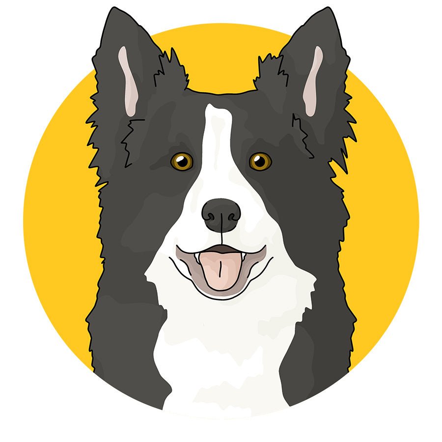 Border Collie - Detezi Designs