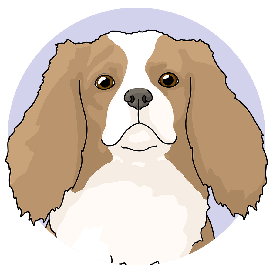 Cavalier King Charles Spaniel - Detezi Designs