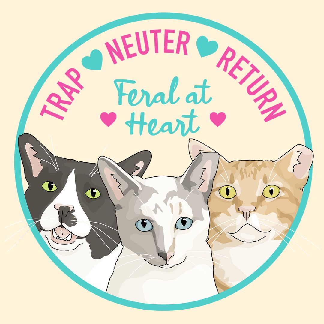 Circle Of Kitties | Feral At Heart - Detezi Designs