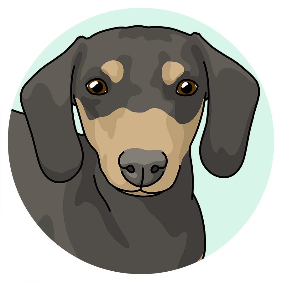 Dachshunds - Detezi Designs