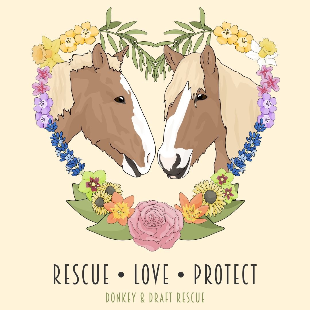 Donkey & Draft Rescue | FUNDRAISER - Detezi Designs