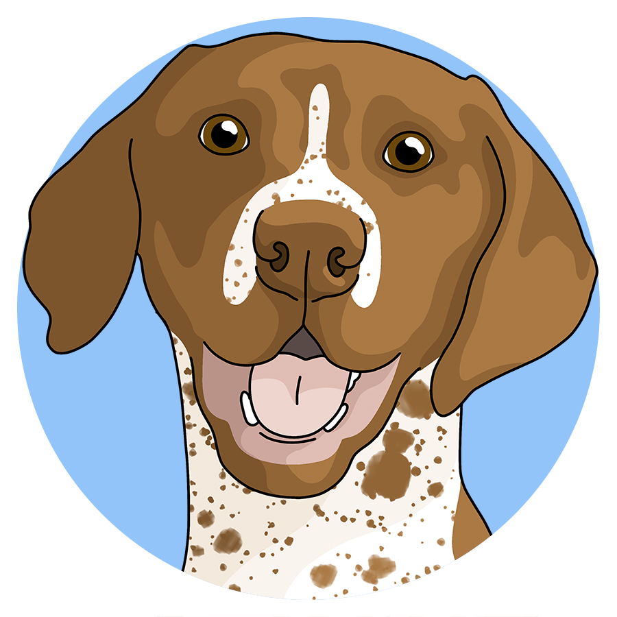 German Shorthair Pointer - Detezi Designs