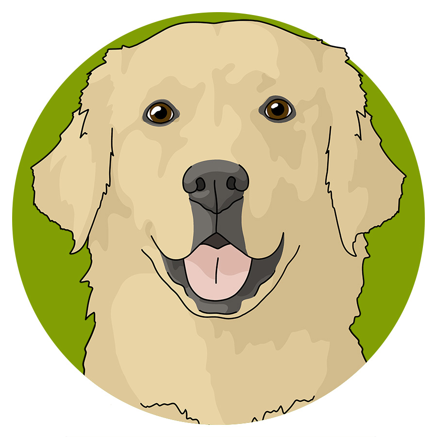 Golden Retrievers - Detezi Designs