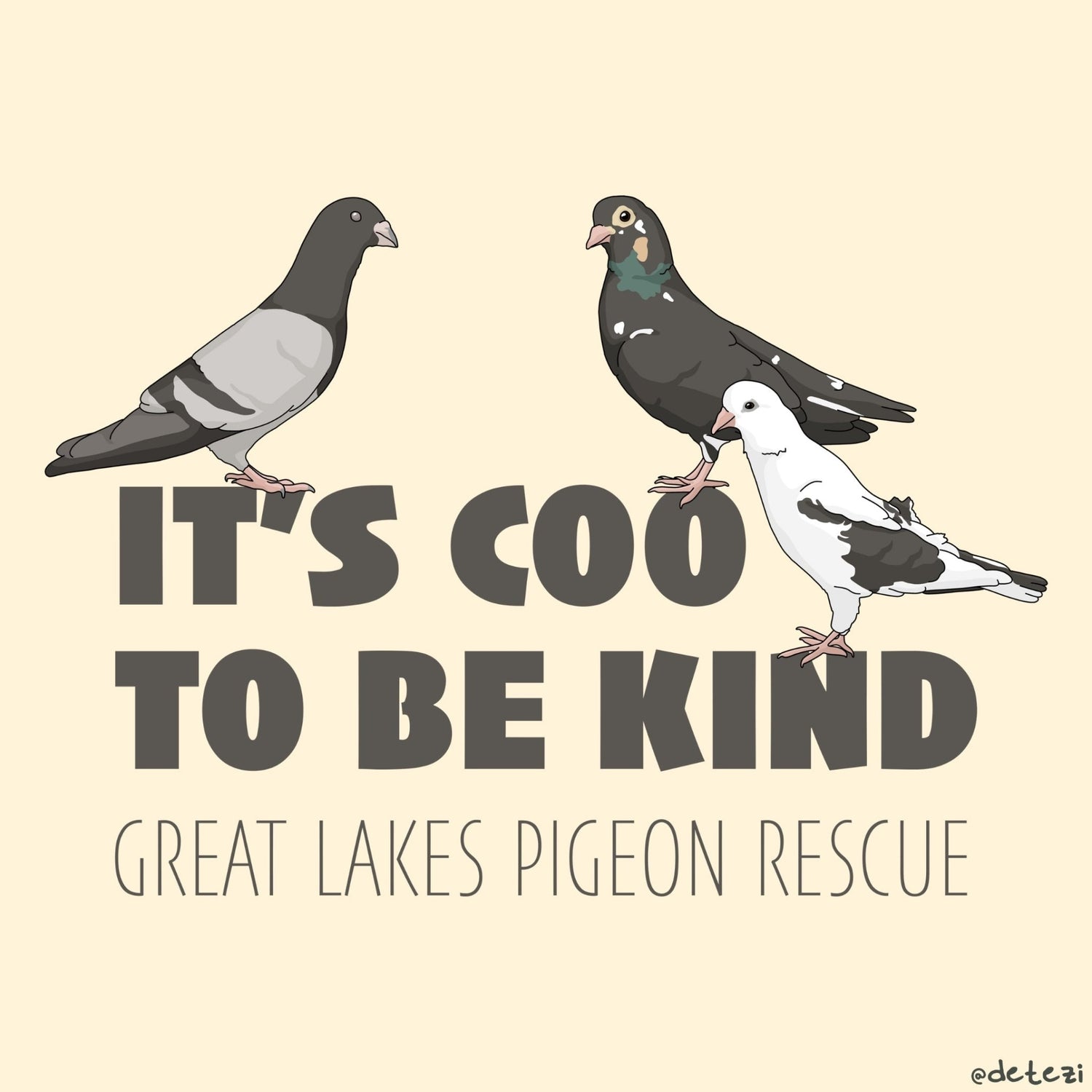 Great Lakes Pigeon Rescue | FUNDRAISER - Detezi Designs