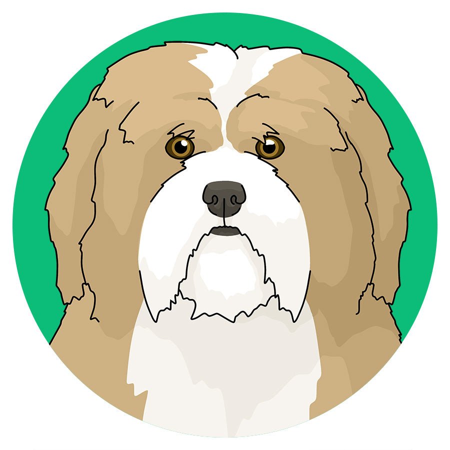 Havanese - Detezi Designs