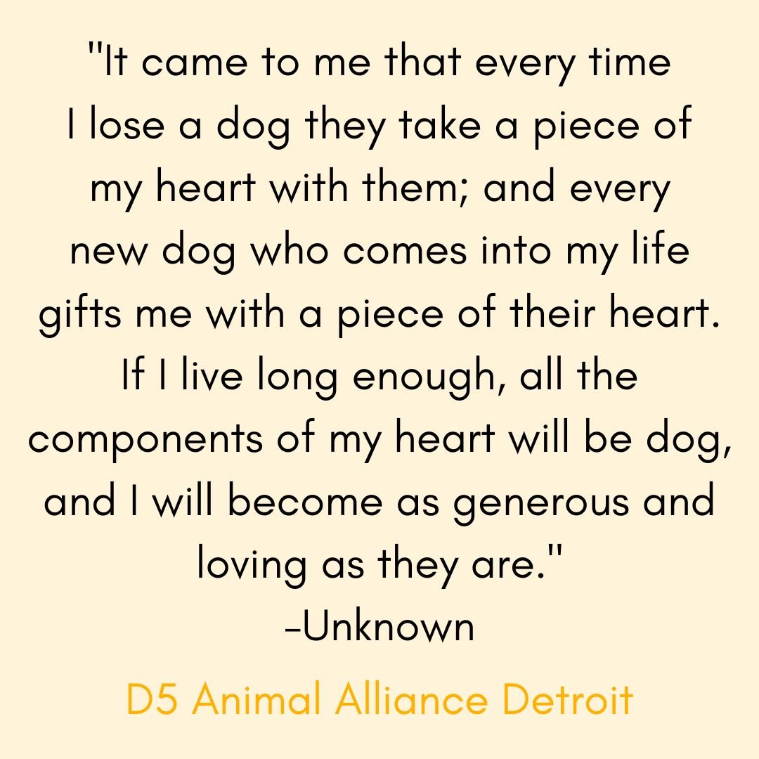 Heart Dogs | FUNDRAISER for D5 Animal Alliance Detroit - Detezi Designs