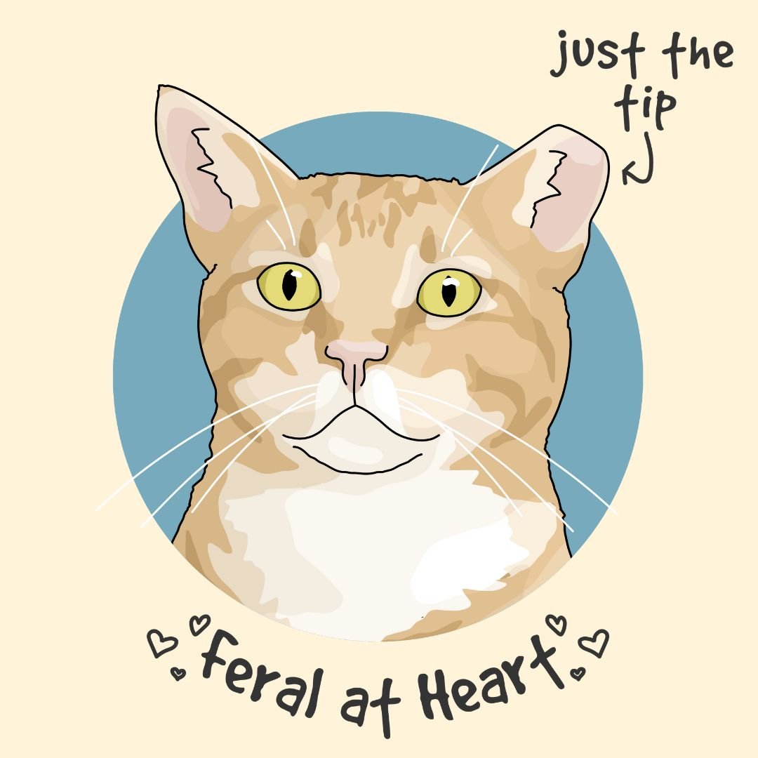 Just The Tip | Feral At Heart - Detezi Designs