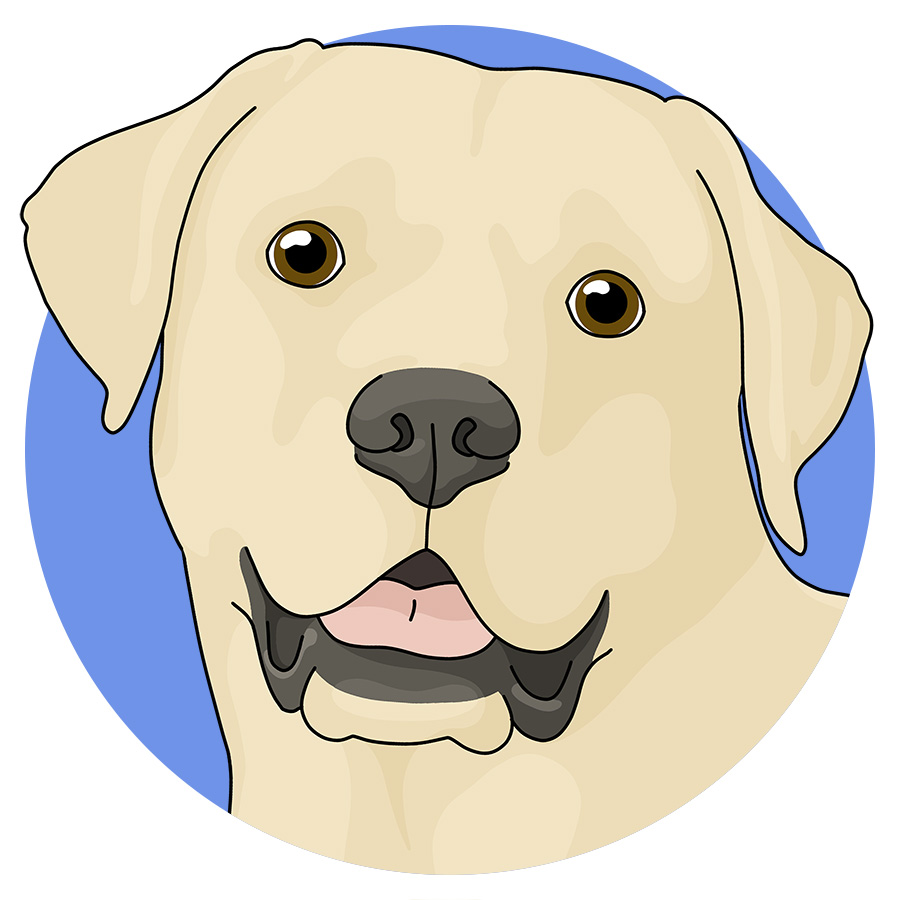 Labrador Retrievers - Detezi Designs