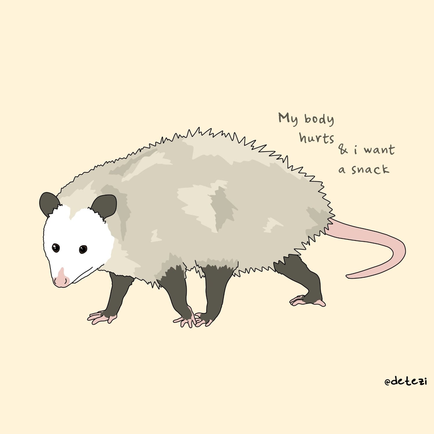 My Body Hurts & I Want A Snack | Possum - Detezi Designs