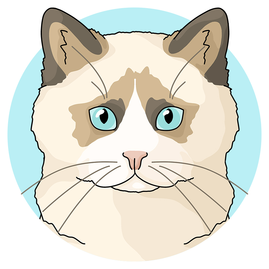 Ragdoll - Detezi Designs