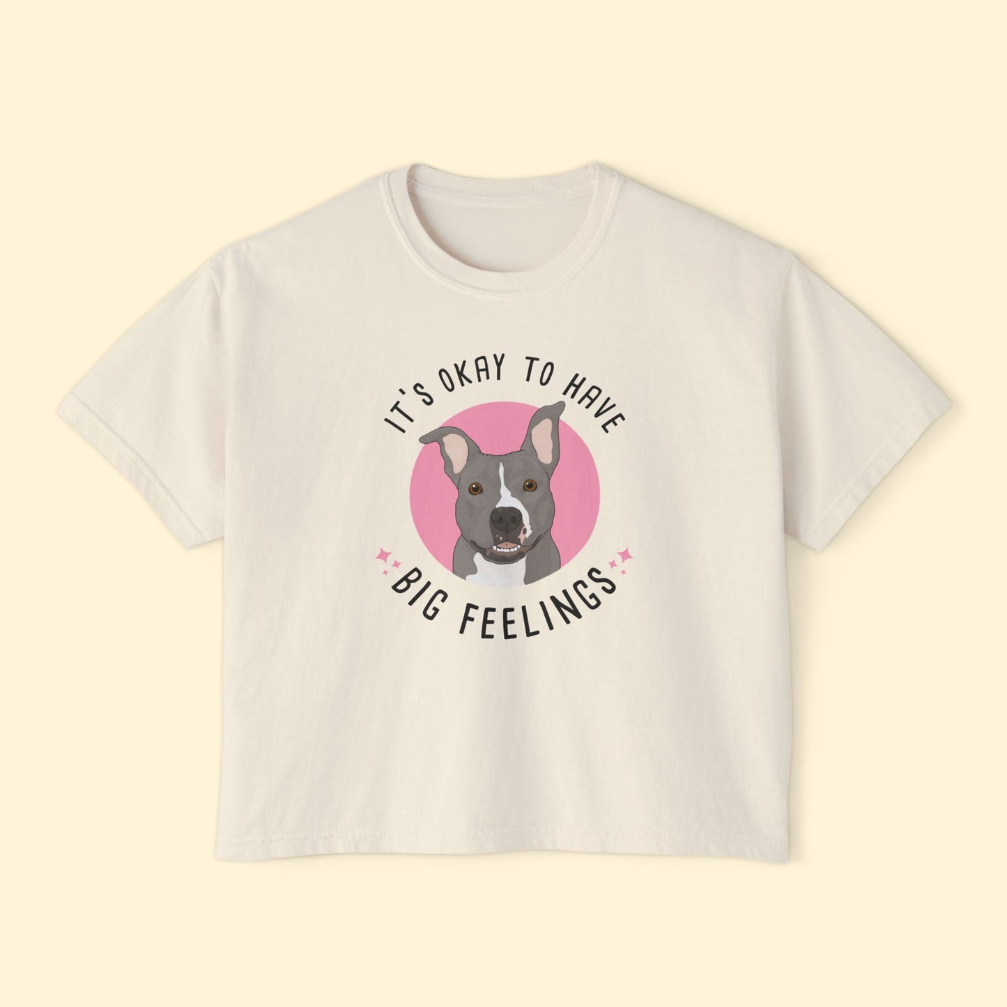 Comfort Colors Boxy Tee | FUNDRAISER | Friends of City Dogs Cleveland
