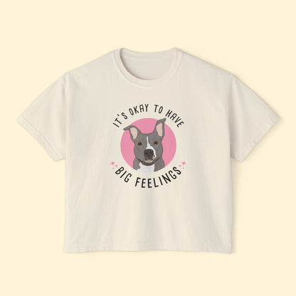 Comfort Colors Boxy Tee | FUNDRAISER | Friends of City Dogs Cleveland