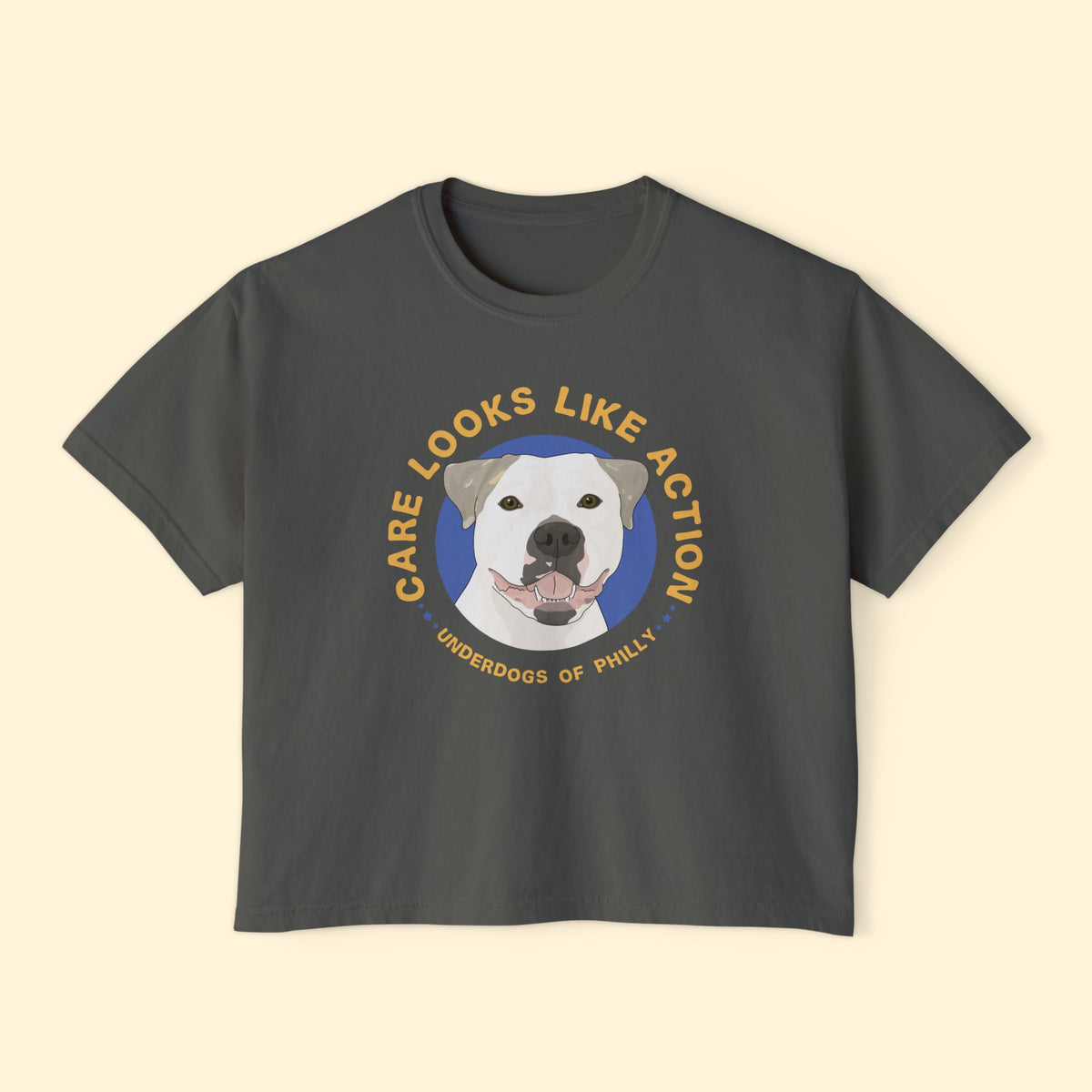 Comfort Colors Boxy Tee | FUNDRAISER | Underdogs of Philly