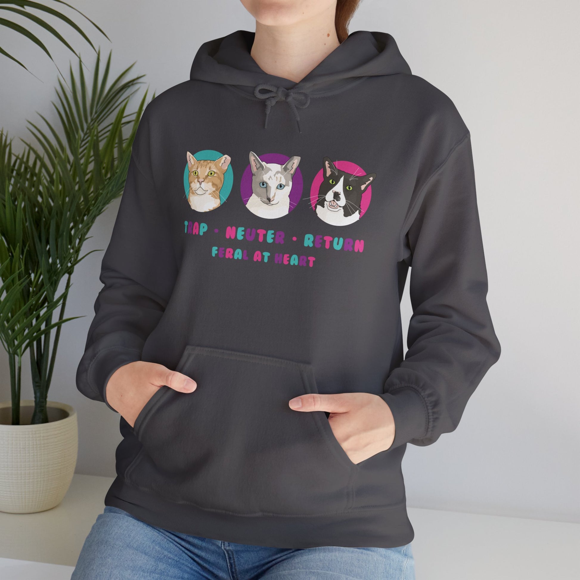 Colorful Kitties | FUNDRAISER for Feral At Heart | Hooded Sweatshirt - Detezi Designs-10322163244699682309