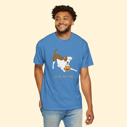 Trick For Treat | Comfort Colors Unisex T-shirt