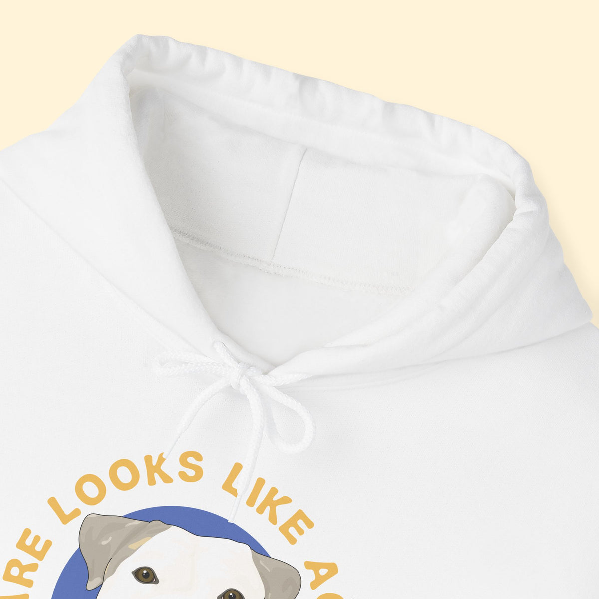 Hooded Sweatshirt | FUNDRAISER | Underdogs of Philly