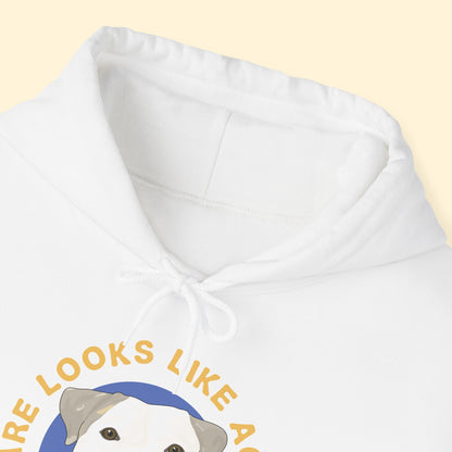 Hooded Sweatshirt | FUNDRAISER | Underdogs of Philly