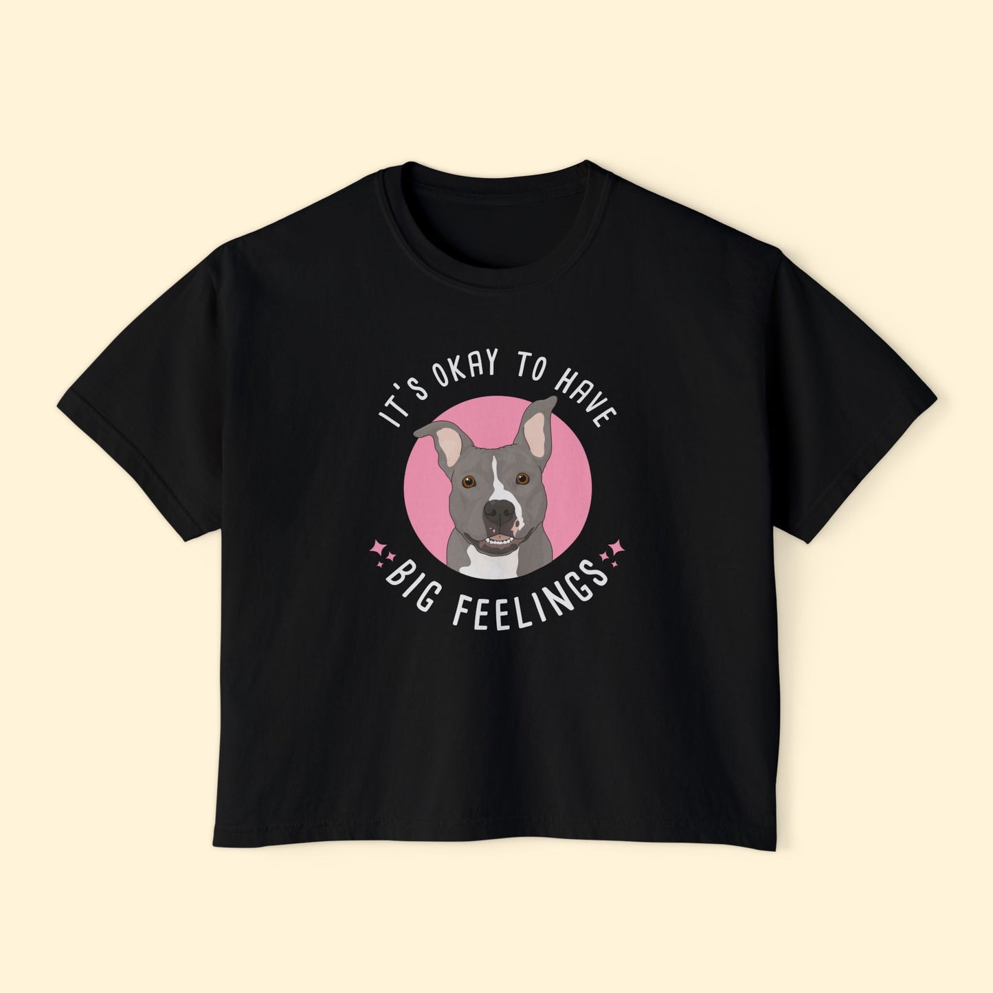 Comfort Colors Boxy Tee | FUNDRAISER | Friends of City Dogs Cleveland