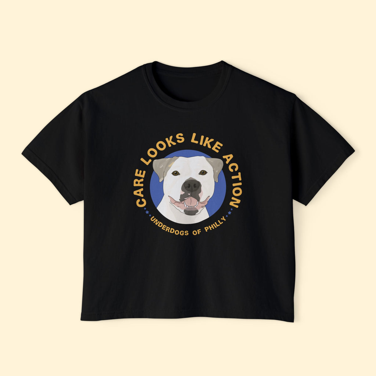 Comfort Colors Boxy Tee | FUNDRAISER | Underdogs of Philly