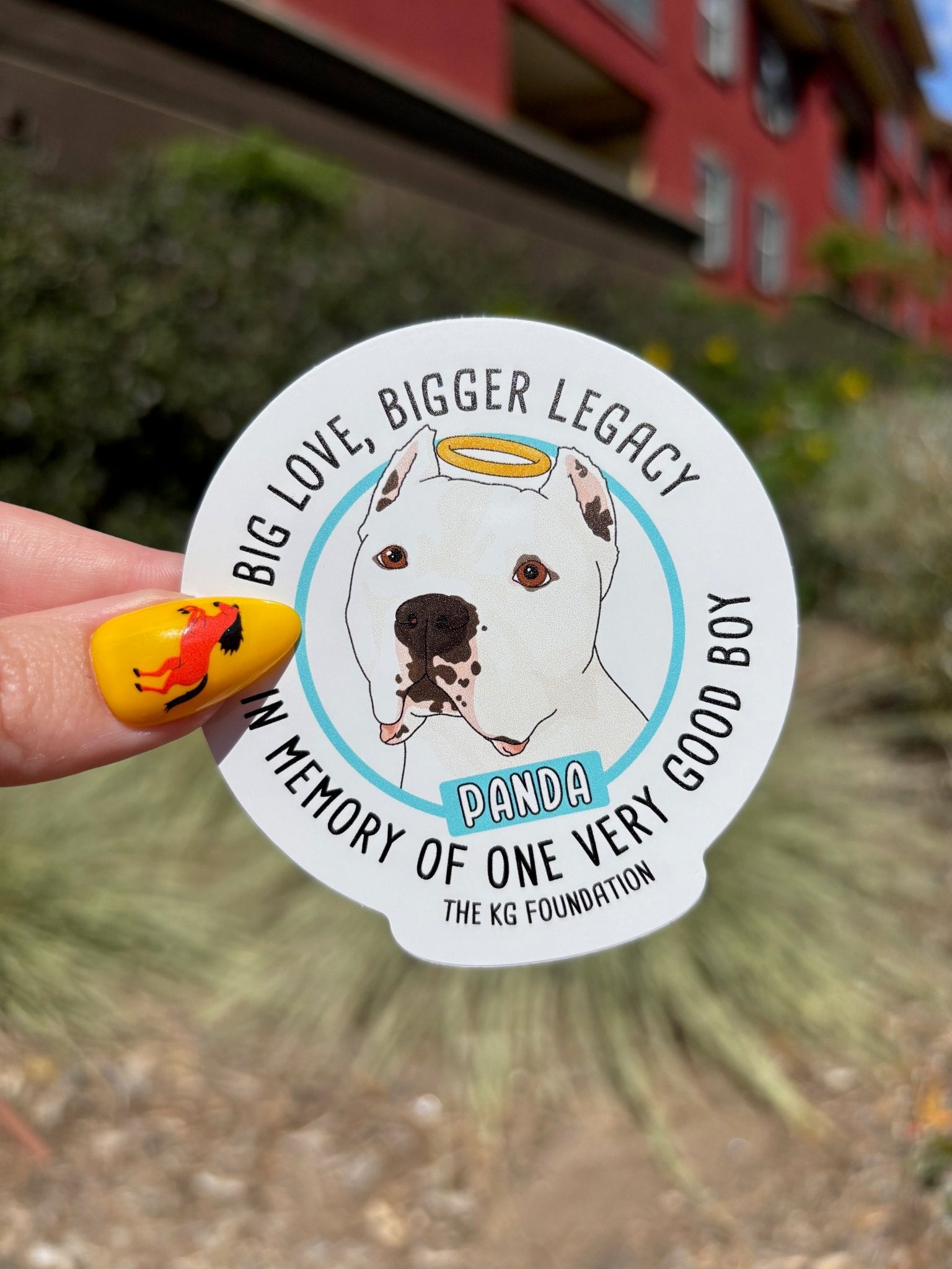 3" Sticker | FUNDRAISER | The KG Foundation | In Memory of Panda - Detezi Designs - 