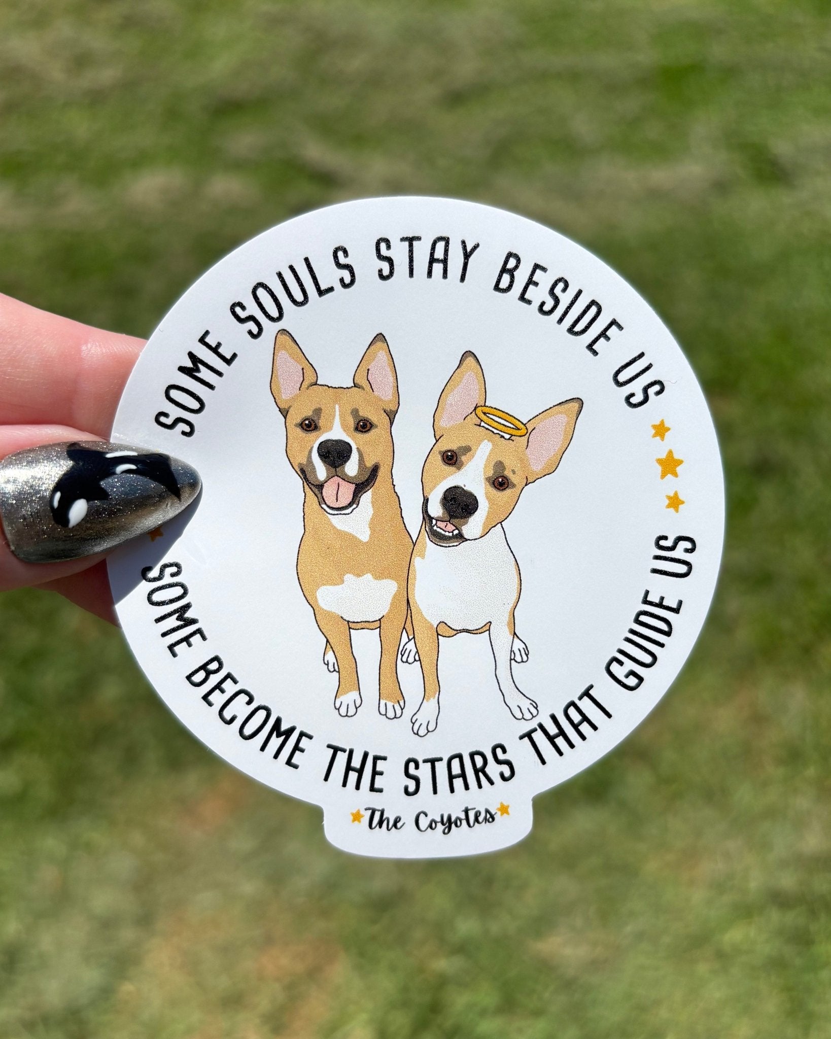 3" Sticker | FUNDRAISER | The KG Foundation | Nutty & Barney - Detezi Designs-
