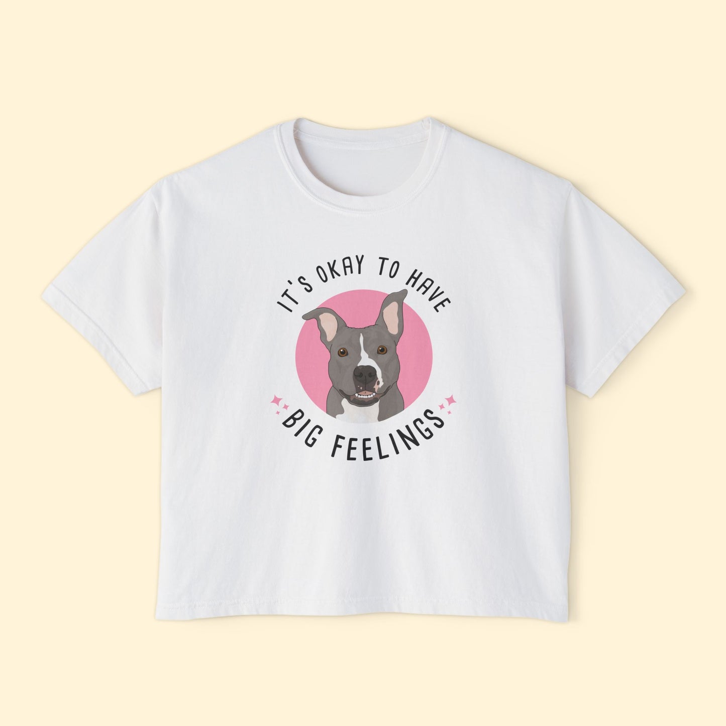 Comfort Colors Boxy Tee | FUNDRAISER | Friends of City Dogs Cleveland