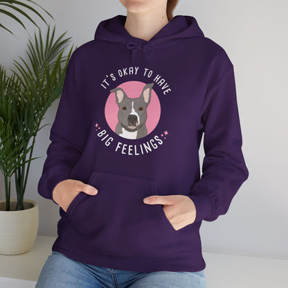 Hooded Sweatshirt | FUNDRAISER | Friends of City Dogs Cleveland