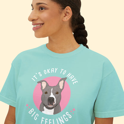 Comfort Colors Boxy Tee | FUNDRAISER | Friends of City Dogs Cleveland