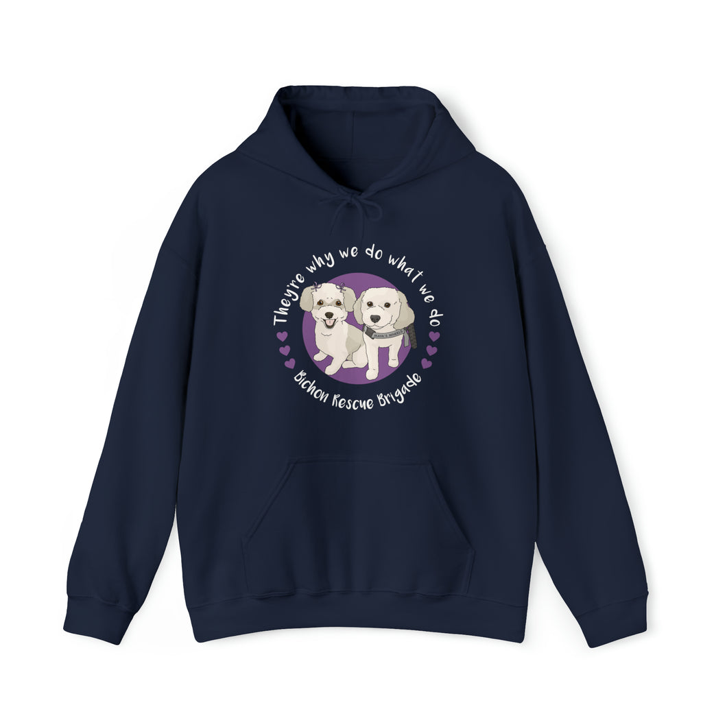 Poppy + Maya | FUNDRAISER for Bichon Rescue Brigade | Hooded Sweatshirt