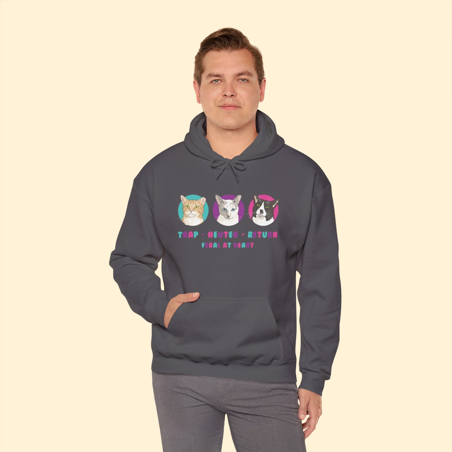 Colorful Kitties | FUNDRAISER for Feral At Heart | Hooded Sweatshirt - Detezi Designs-10322163244699682309